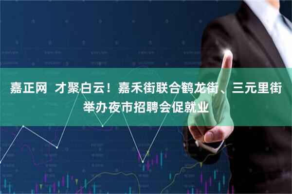 嘉正网  才聚白云！嘉禾街联合鹤龙街、三元里街举办夜市招聘会促就业